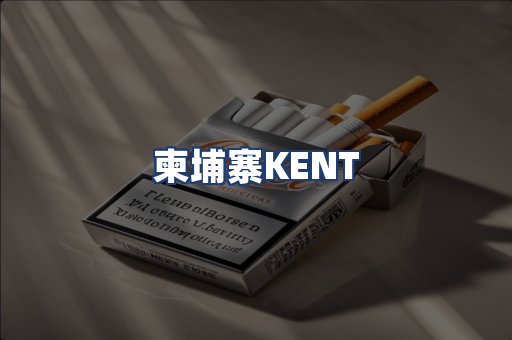 柬埔寨KENT
